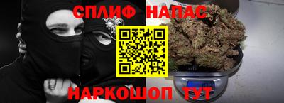 индика Боровичи