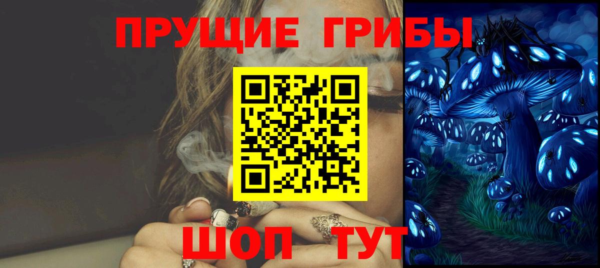 Псилоцибиновые грибы мицелий Кумертау